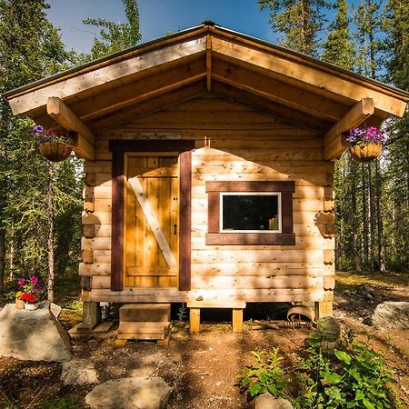 Blackburn Cabins - Mccarthy, Alaska Екстер'єр фото